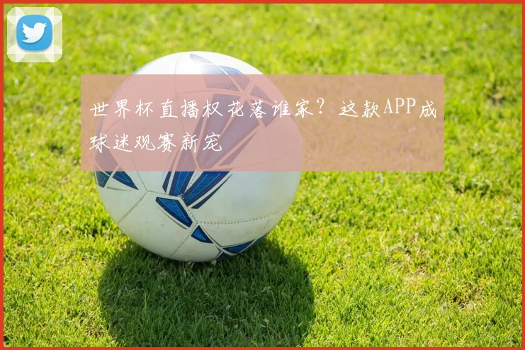 世界杯直播权花落谁家？这款APP成球迷观赛新宠